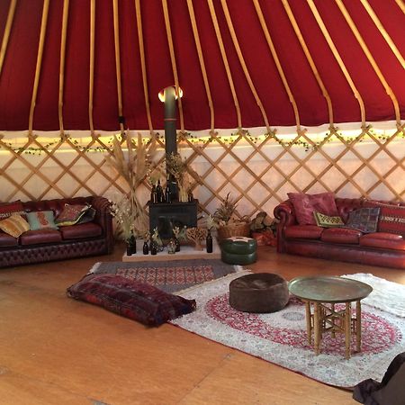 Silver Airstream Glamping & Rental Chichester Exterior foto